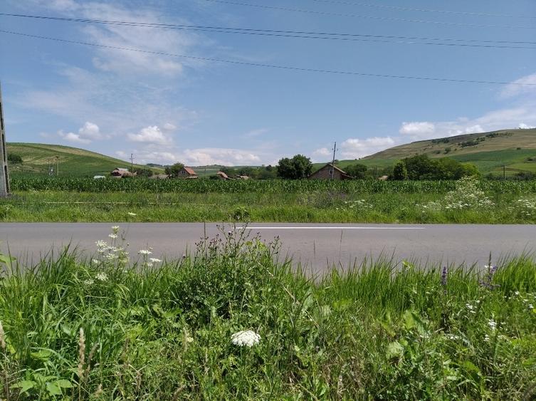 Teren Construcții intravilan de 6600 mp, în Mărășești