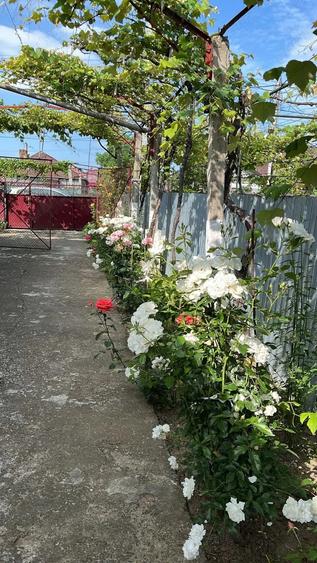 Casă cu 4 camere cu Teren 650 Mp în Roman