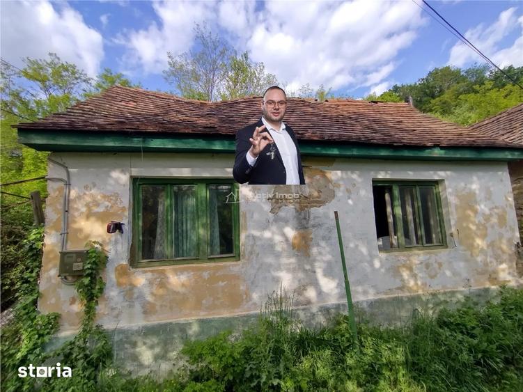 Sasca Montana | Oportunitate | Casa cu 230 MP Teren - 10