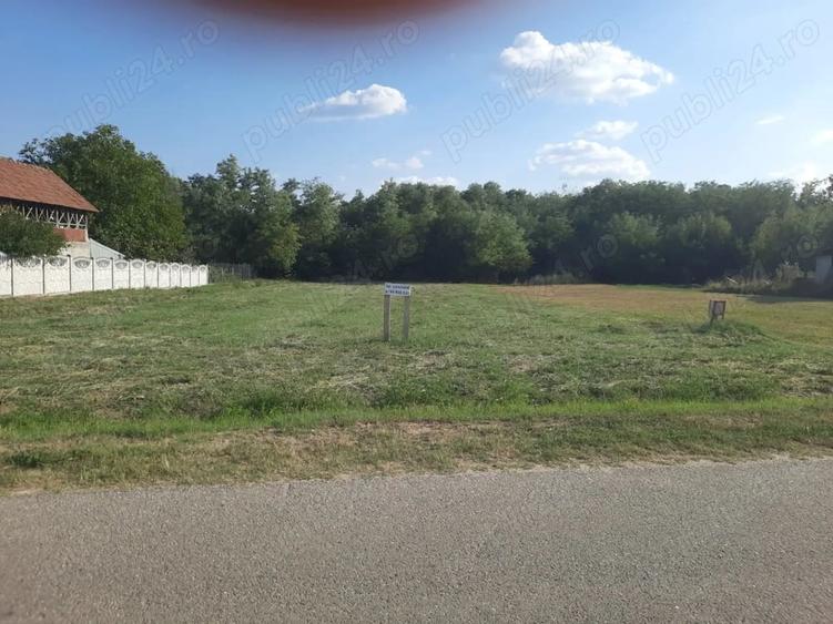 Teren de 2600 mp, în Băbeni