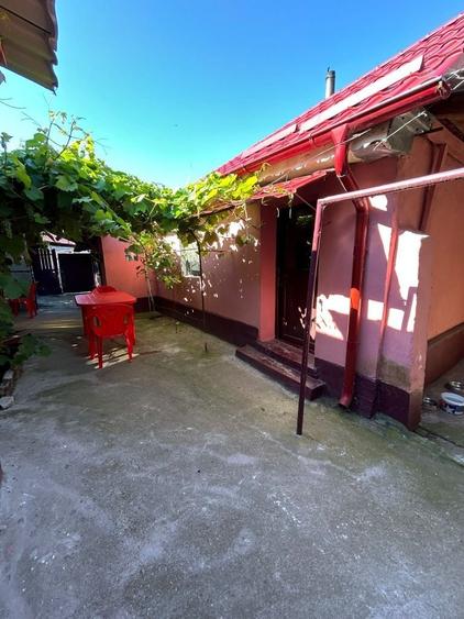 Casa 700m/2 comuna Viisoara Teleorman - 14