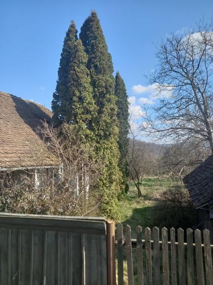 Casă individuală cu 2 camere cu Teren 1355 Mp în Trei Sate