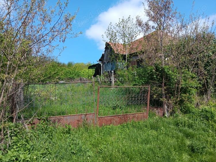Teren de 3600 mp, în Miceștii de Câmpie