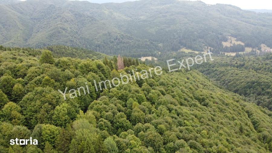 Teren de vanzare pe Transfagara?an, zona Molivi?u ( 69.450 mp ) - 12