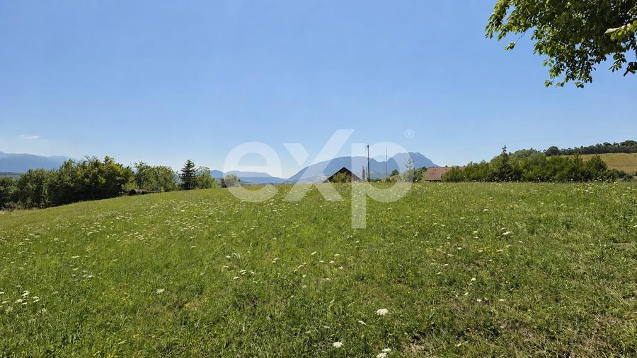 Teren agricol extravilan de 8544 mp, în Poiana Mărului