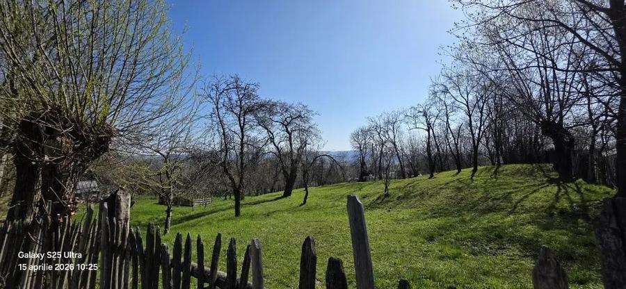 Teren de 2000 mp, în Talea