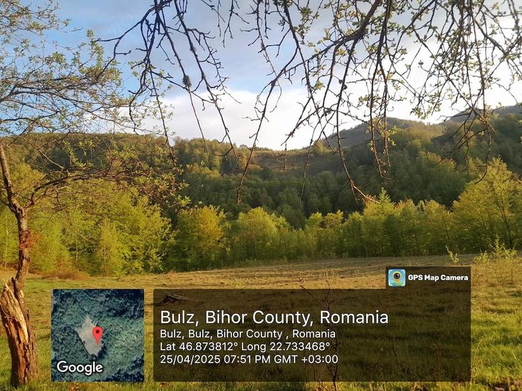 Teren de 27000 mp, în Munteni