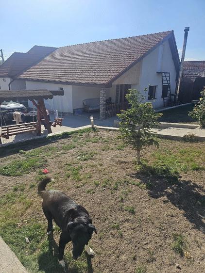 Casă cu Teren 3000 Mp în Stanciova
