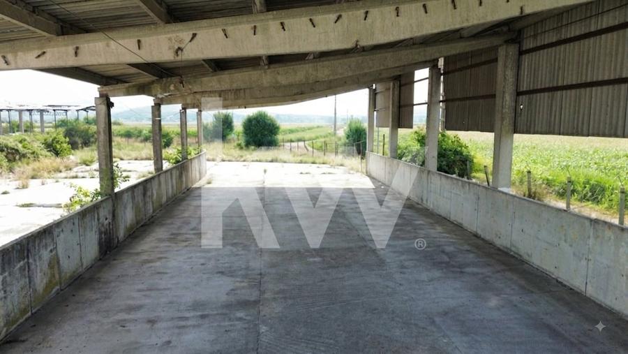 Spațiu industrial, de 667 mp, în Bod