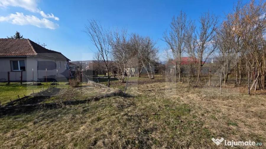 Casă cu 3 camere cu Teren 3000 Mp în Central