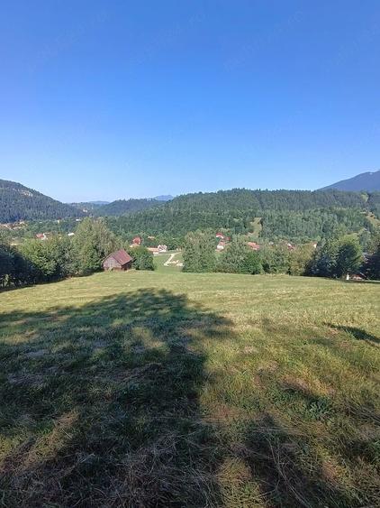 Teren de 8000 mp, în Bran
