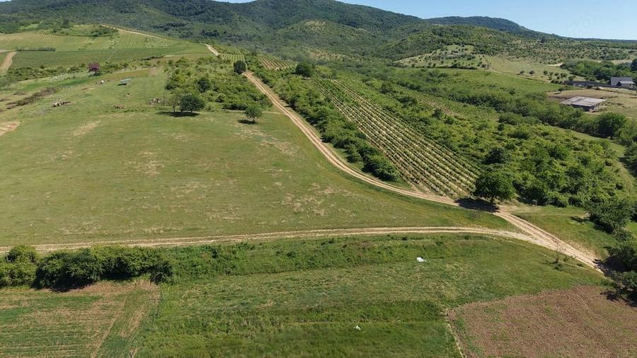 Teren de 928 mp, în Covăsinț