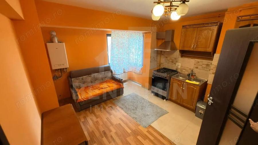 Apartament modern 2 camere Calea Severinului - 3