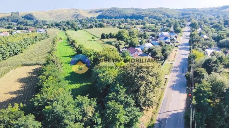TEREN intravilan 6764 mp DRAGOMIRESTI - VAD. - 2