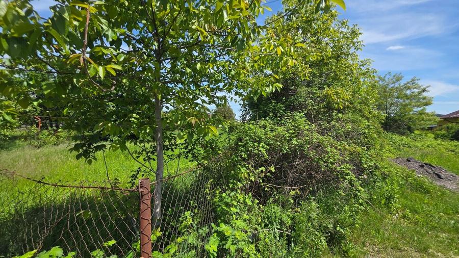 Teren agricol intravilan de 1500 mp, în Mărăcineni