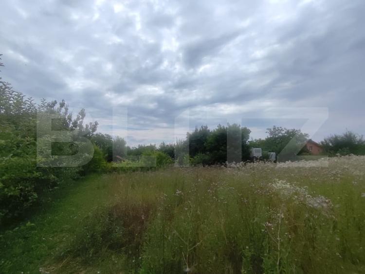 Casa 120 mp utili, 2850 mp teren, zona Bucium - 9