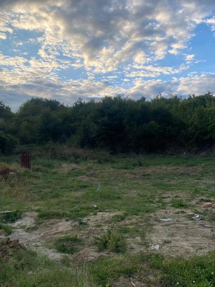 Teren de 625 mp, în Doicești