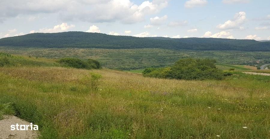 Teren intravilan 1000 mp, cu PUZ, zona platoului Radaia - 5