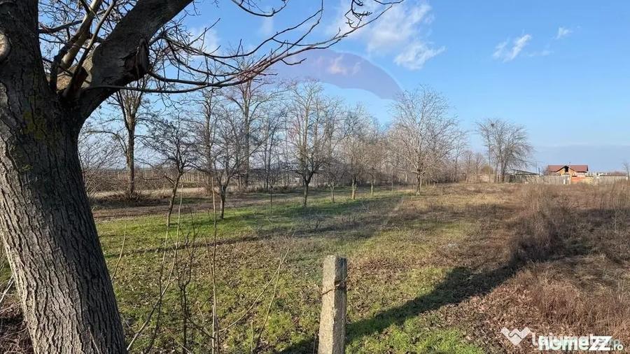 Teren în Petrești