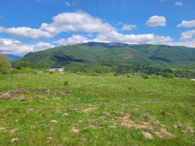 teren de vanzare Slatina ,Comuna Nucsoara - 2