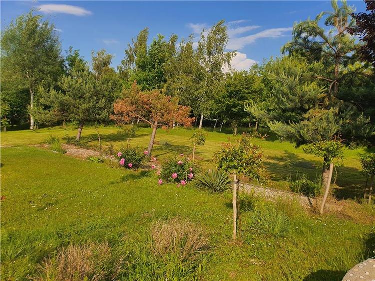 Teren agricol intravilan de 900 mp, în Săcel