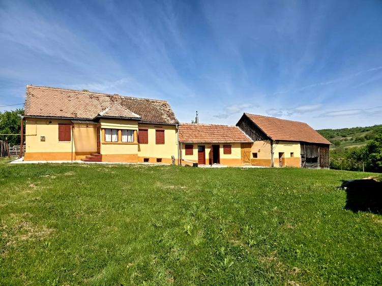 Casă cu 3 camere cu Teren 417 Mp în Central