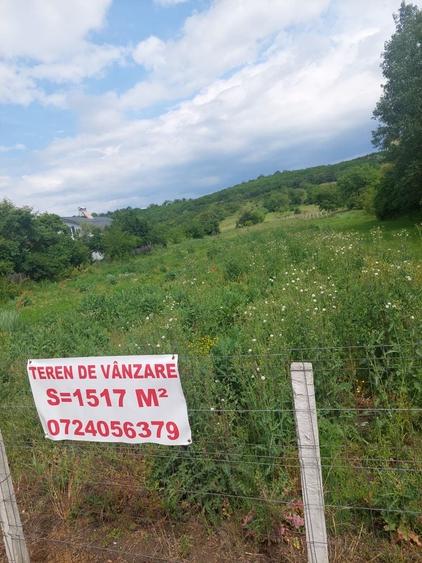 Spațiu comercial, în Central