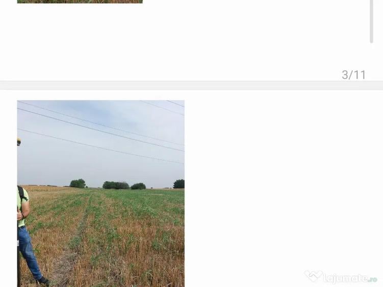 De vanzare sau inchiriere teren 4000 mp - 11
