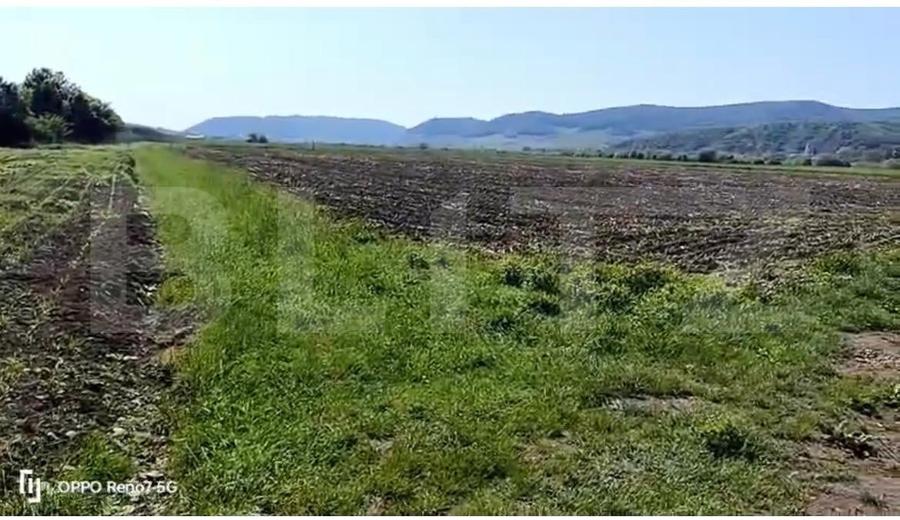 Teren agricol extravilan de 2500 mp, în Central