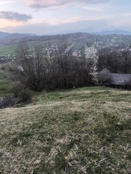 Teren de 2600 mp, în Izvoarele