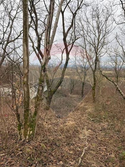 Teren agricol extravilan de 2900 mp, în Independenței