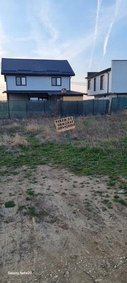 Teren intravilan Str Primaverii Berceni - 3