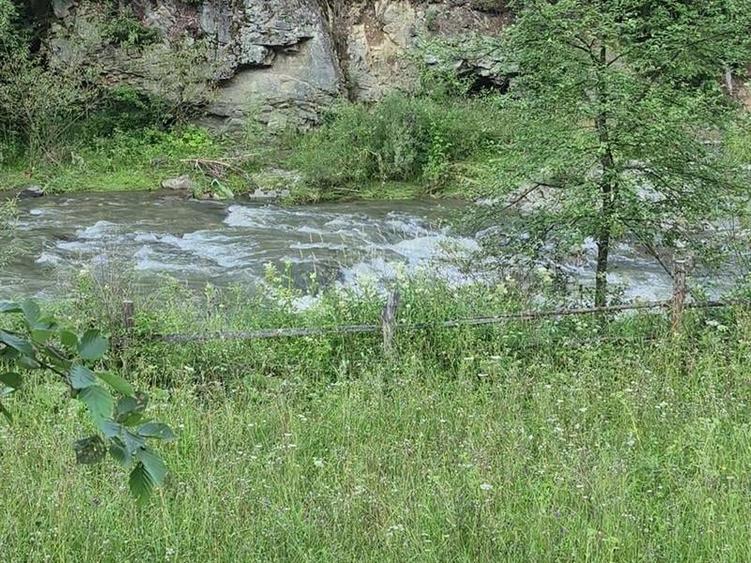 Teren agricol intravilan de 7400 mp, în Colacu