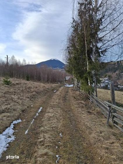 Teren de 1000 mp, în Central