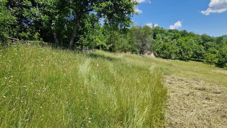 Teren de vanzare 2.000 mp, Comarnic, Prahova - 7