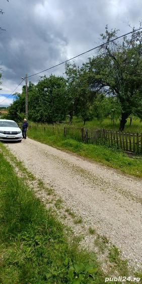 Teren de 7000 mp, în Tănăsești