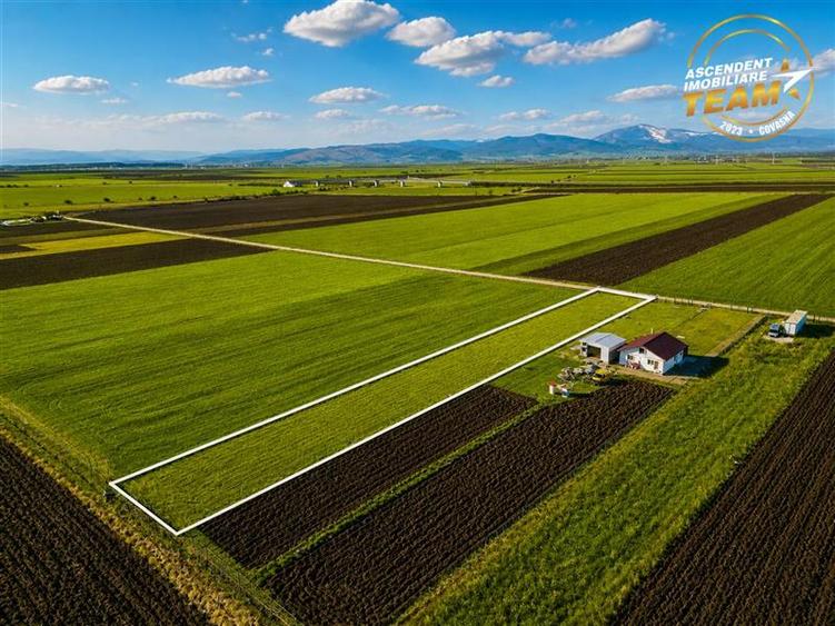 Teren Construcții intravilan de 2498 mp, în Chilieni