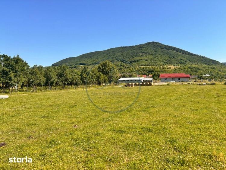 Teren de 700 mp, în Șieu