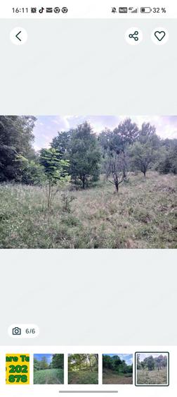 Teren de 12000 mp, în Boș