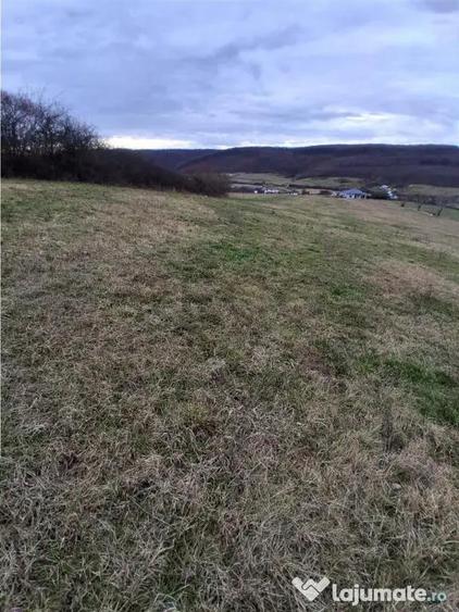 RECO Teren intravilan 5487 mp cu dublu front stradal-zona Be - 4
