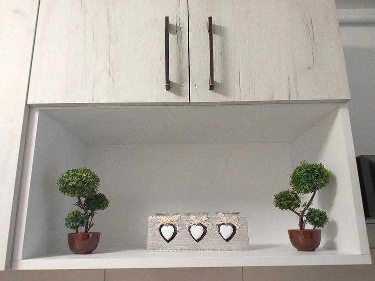 Apartament cu 2 camere decomandat în Ozana
