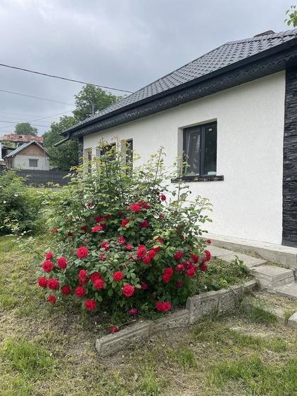 Casă cu 3 camere în Buhoci