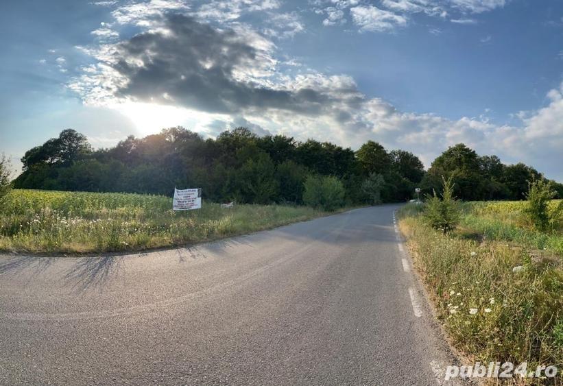 Teren în Săbăreni