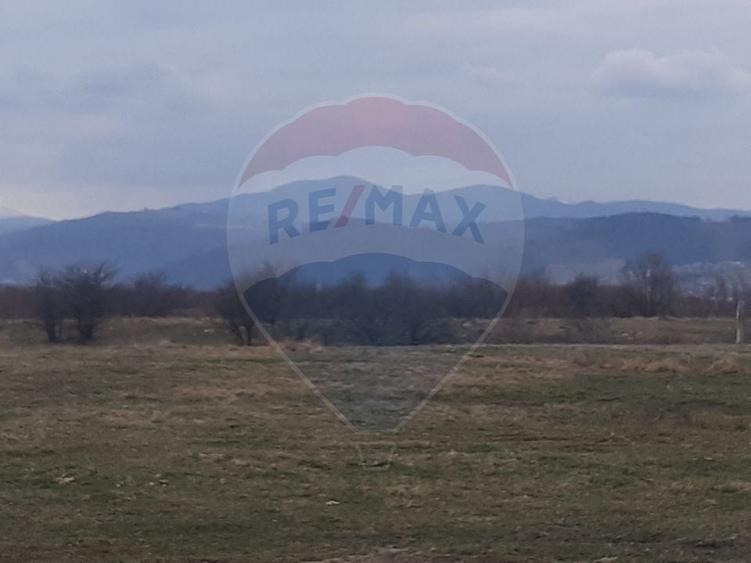 Teren agricol extravilan de 10000 mp, în Pănicel