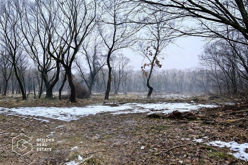 Teren agricol extravilan de 3900 mp, în Central