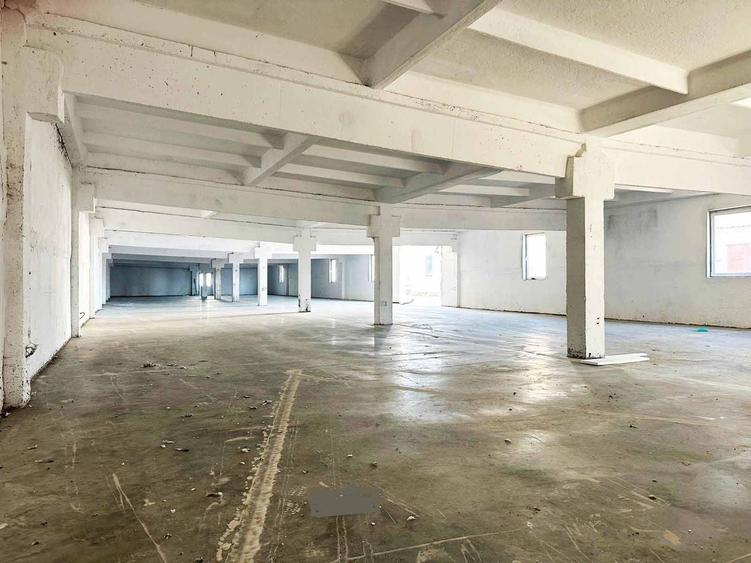 Spațiu industrial, de 250 mp, în Aluniș