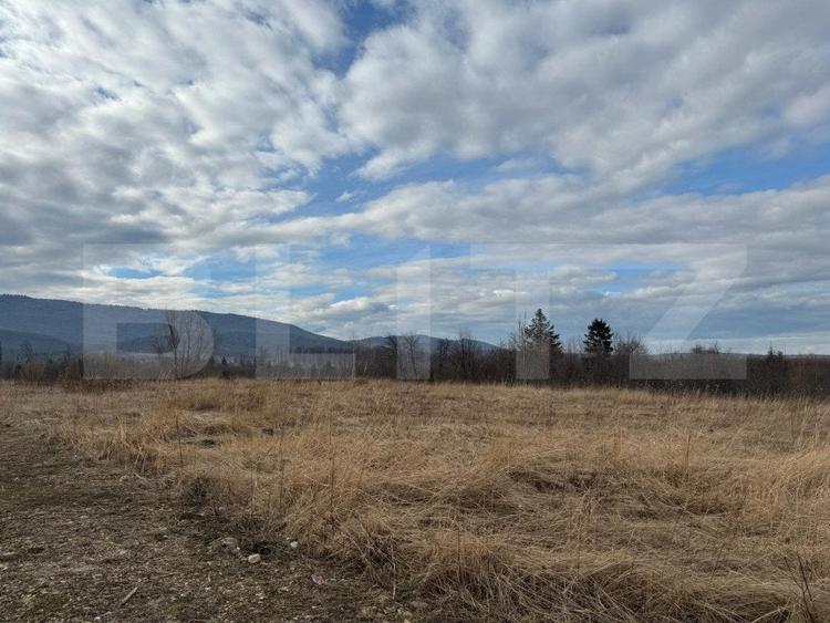Teren Construcții intravilan de 2500 mp, în Marginea