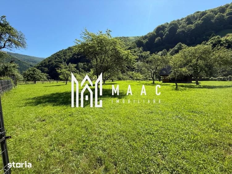 Teren de 3050 mp, în Câineni