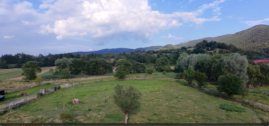 Teren agricol extravilan de 3021 mp, în Șinca Nouă