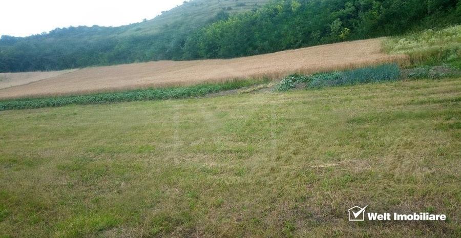 Teren Construcții intravilan de 8700 mp, în Corpadea